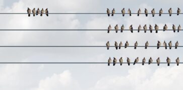 Pigeons excluded
